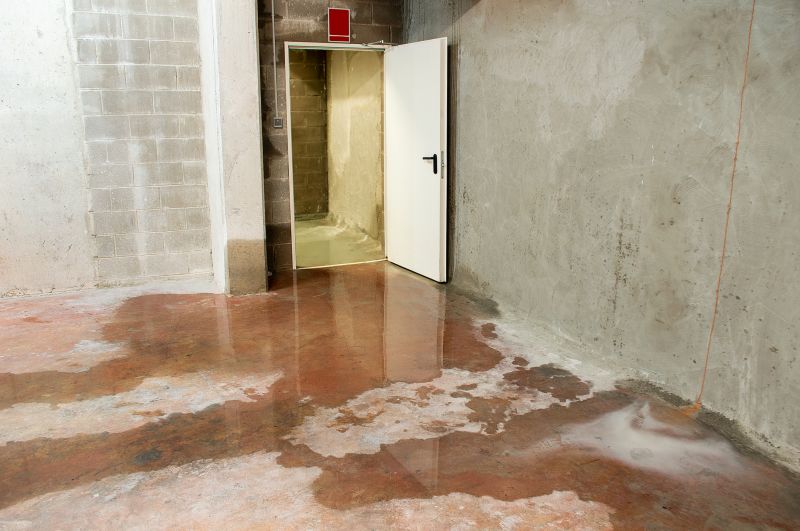 Wet Basement Solutions in Greenville, SC